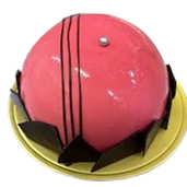 Chocolate Raspberry Dome